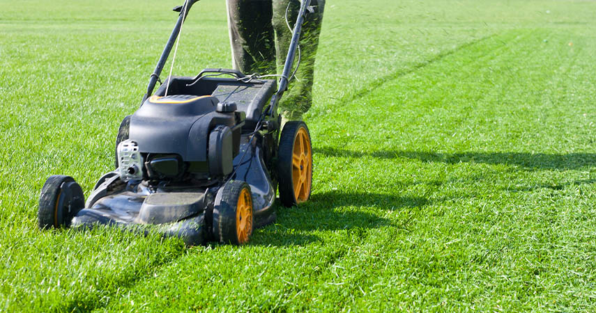 Application of brushless motor